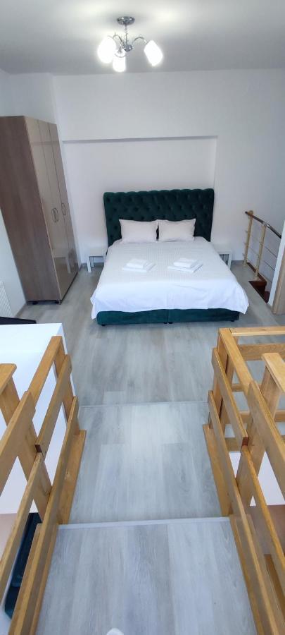 Duplex Belle View Sinaia-Free Parking Appartement Buitenkant foto