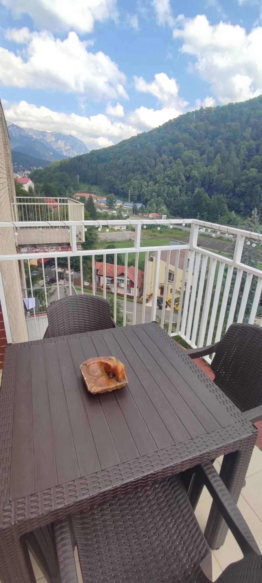 Duplex Belle View Sinaia-Free Parking Appartement Buitenkant foto