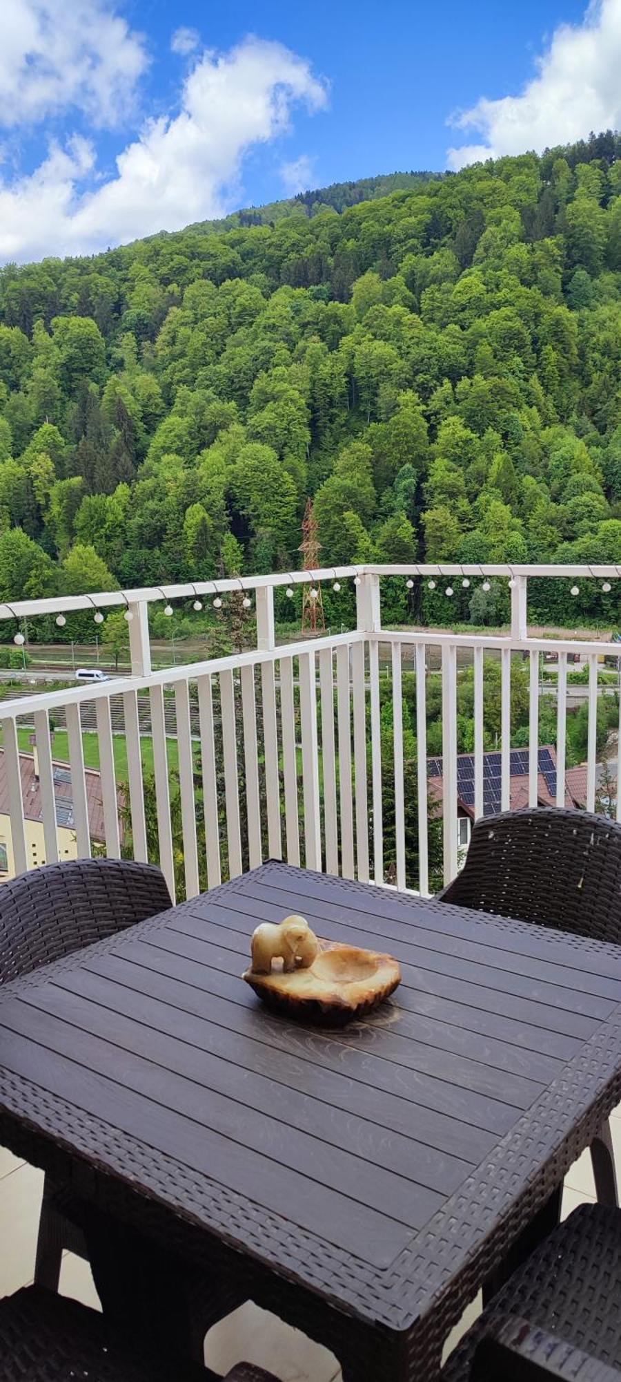 Duplex Belle View Sinaia-Free Parking Appartement Buitenkant foto