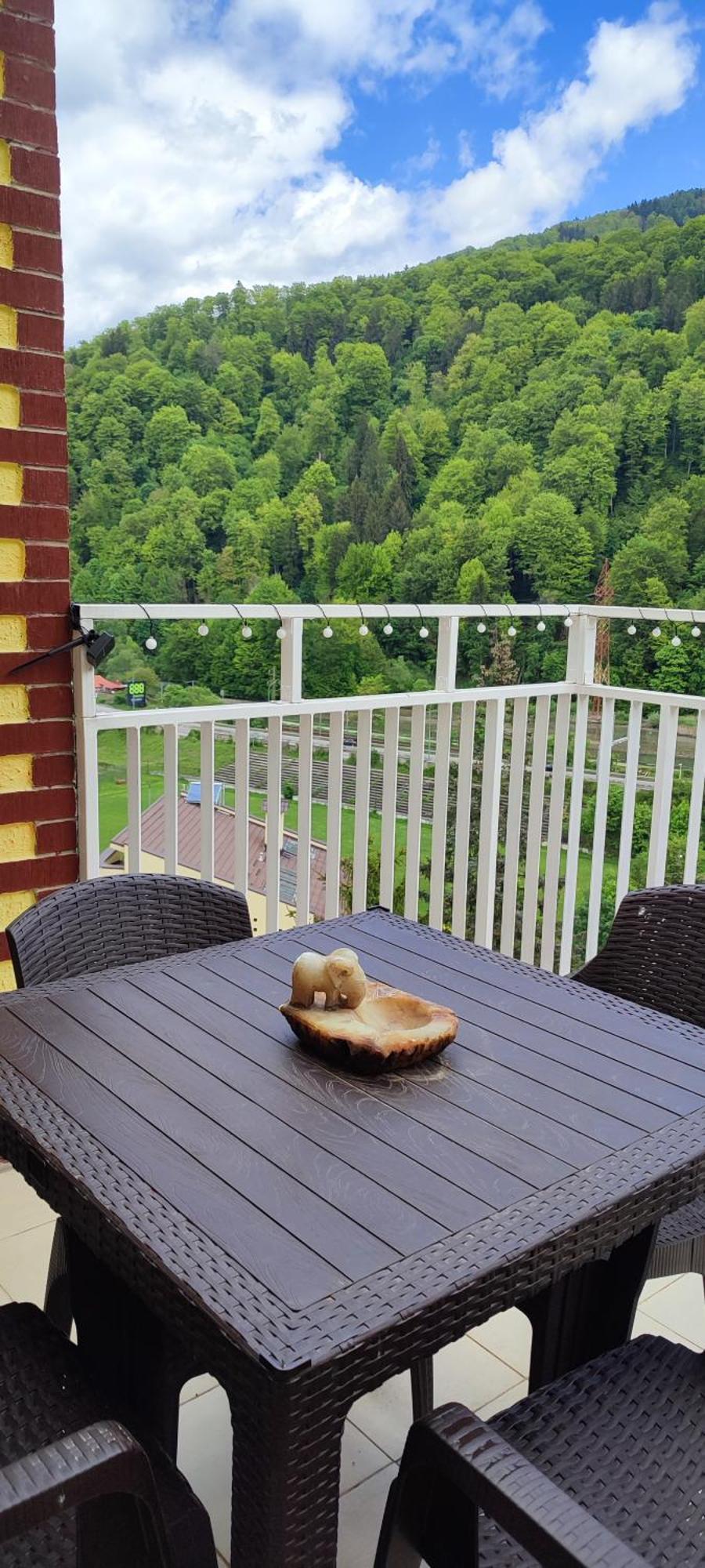 Duplex Belle View Sinaia-Free Parking Appartement Buitenkant foto
