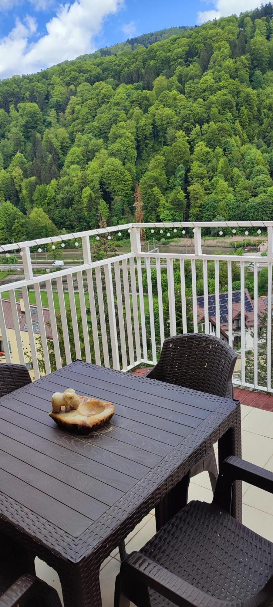 Duplex Belle View Sinaia-Free Parking Appartement Buitenkant foto