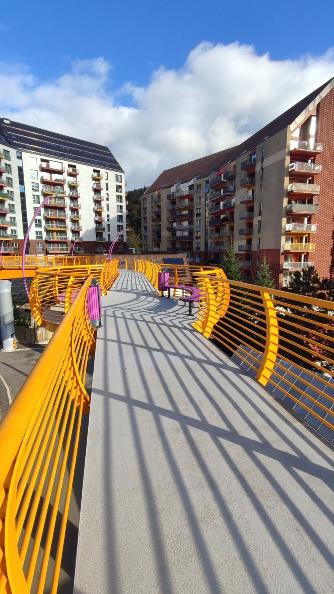Duplex Belle View Sinaia-Free Parking Appartement Buitenkant foto